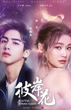 Дорама Прекрасный переродившийся цветок сериал 2020  смотреть онлайн