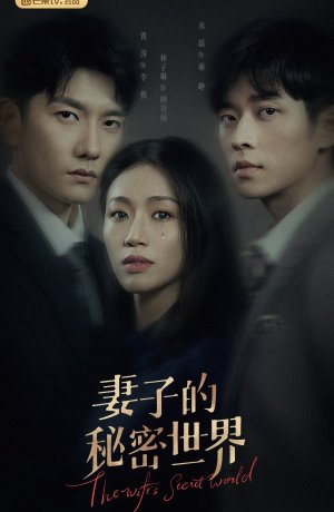 Дорама Тайный мир жены сериал 2022  смотреть онлайн