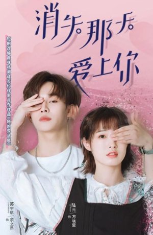 Дорама Исчезающая любовь сериал 2022  смотреть онлайн