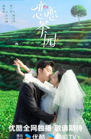 Дорама Любовь в чайном саду сериал 2024  смотреть онлайн