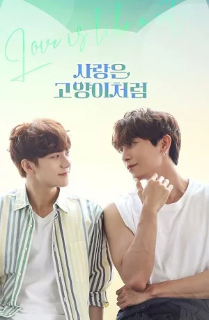 Дорама Любовь подобна кошке сериал 2024  смотреть онлайн