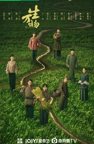 Дорама Процветающая земля сериал 2025  смотреть онлайн